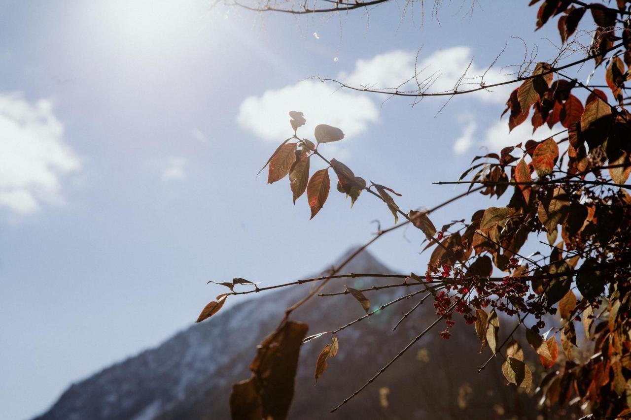 Mountain Mama Ferienhaus Schliersee Buitenkant foto